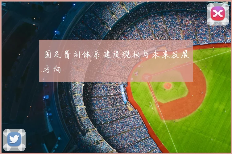 国足青训体系建设现状与未来发展方向