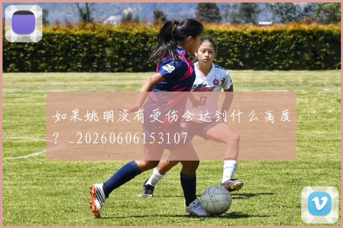 如果姚明没有受伤会达到什么高度？_20260606153107