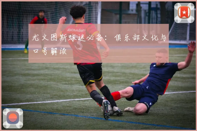 尤文图斯球迷必备：俱乐部文化与口号解读